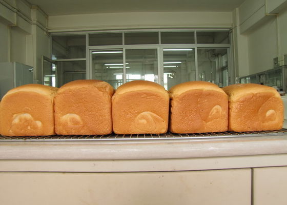 পাতিত মনো গ্লিসারাইড E-DH-Z45